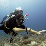Teaching PADI Underwater Navigation