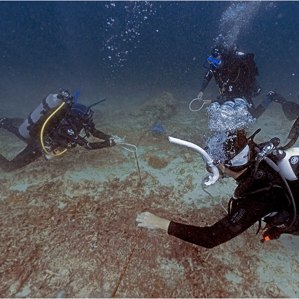 padi idc march ow 1
