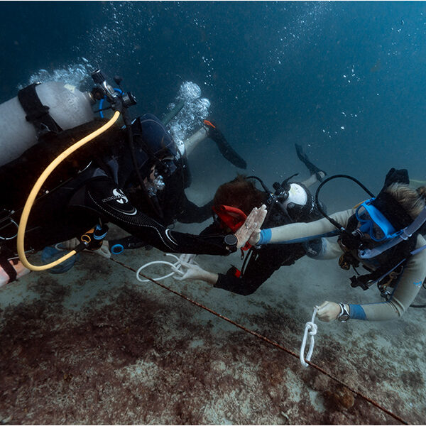 padi idc march ow 2