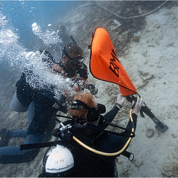 padi idc march ow 5