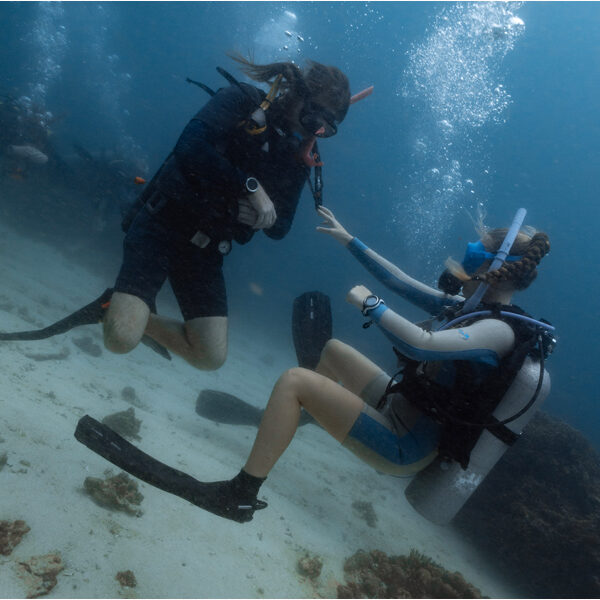 padiidcgiliislands march 2025