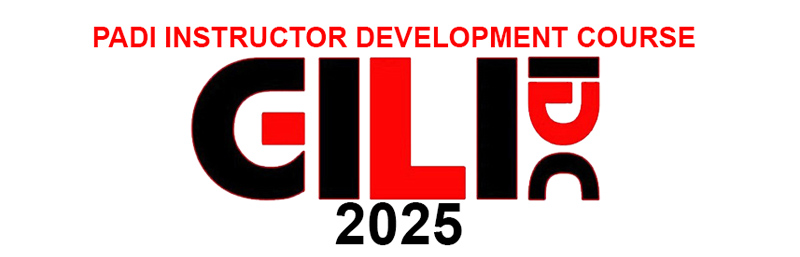 PADIIDCGILIISLANDS TOP1