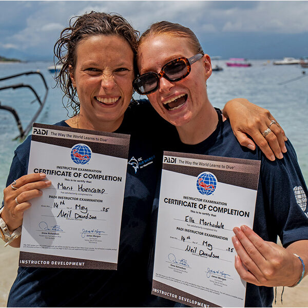padi idc april ie 8